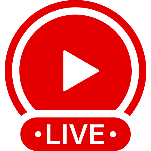 Hankeystoys | Live Webcam Shows & Interactive Adult Entertainment
